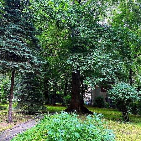 Comfortable Apartment In Old Town Cracovia Esterno foto