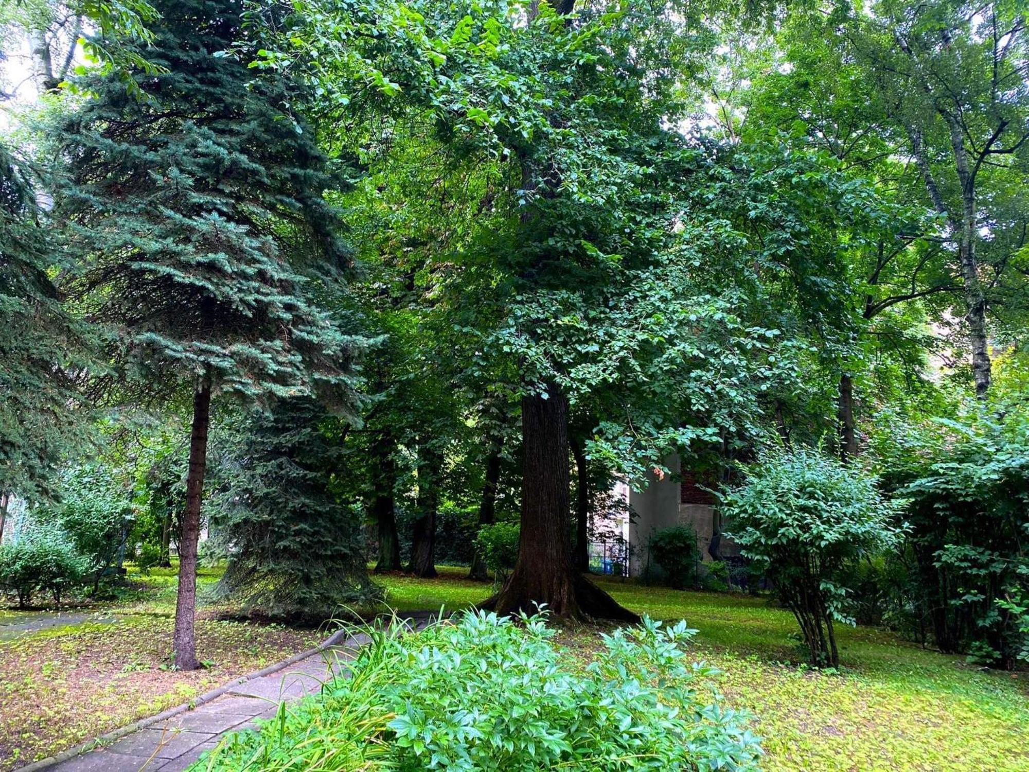 Comfortable Apartment In Old Town Cracovia Esterno foto